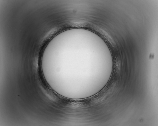 X0000102510686200808221818