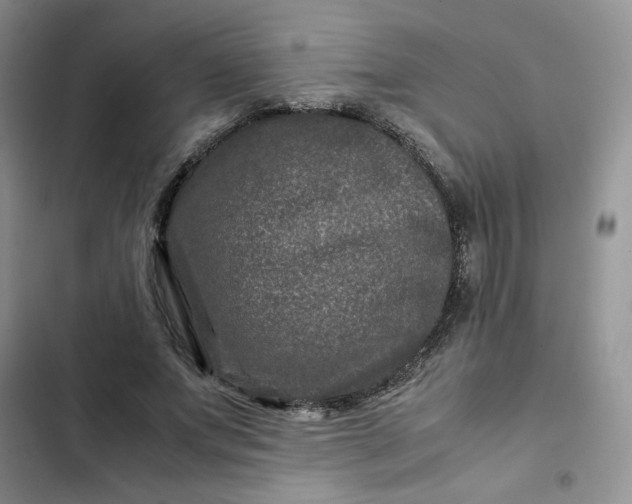 X0000102510687200808221818