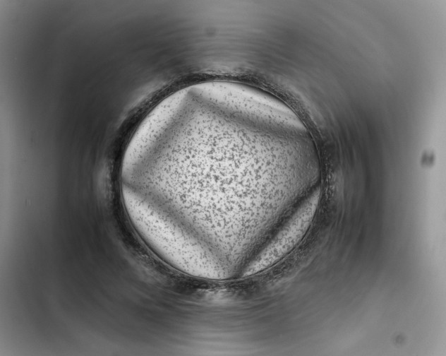 X0000102510688200808221818