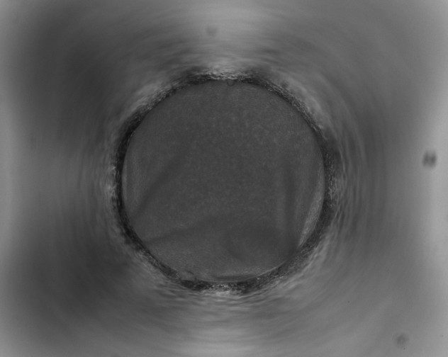 X0000102510689200808221818