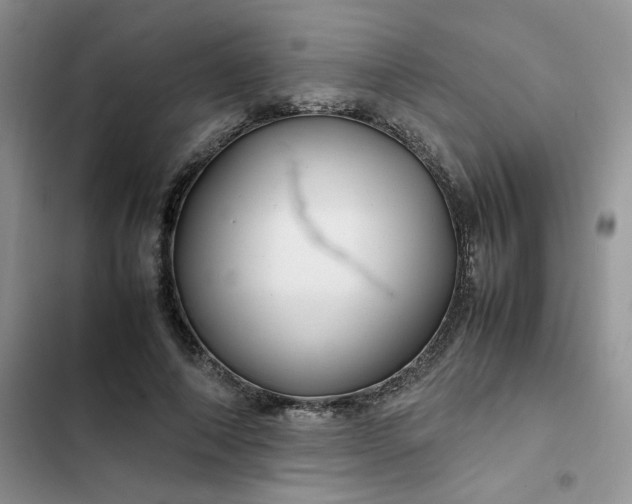X0000102510690200808221818