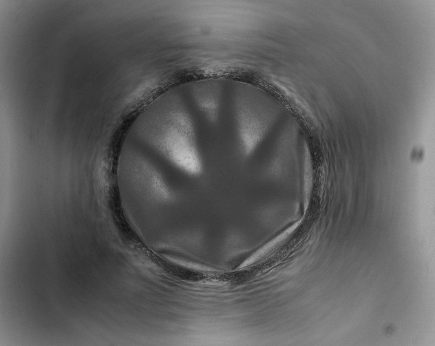 X0000102510691200808221818