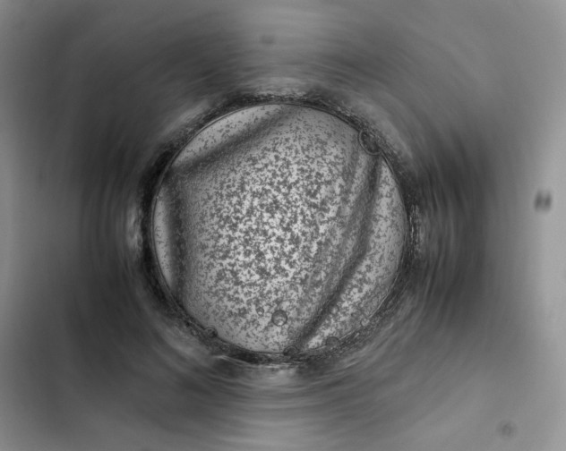 X0000102510692200808221818