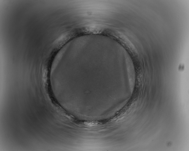 X0000102510693200808221818