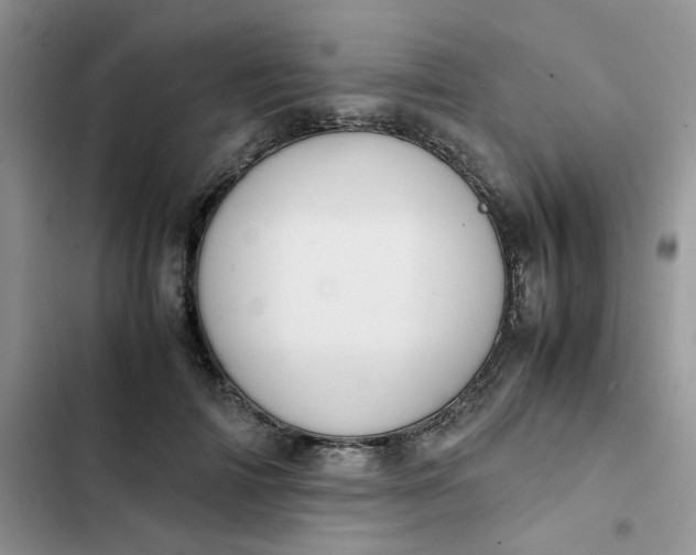 X0000102510698200808221818