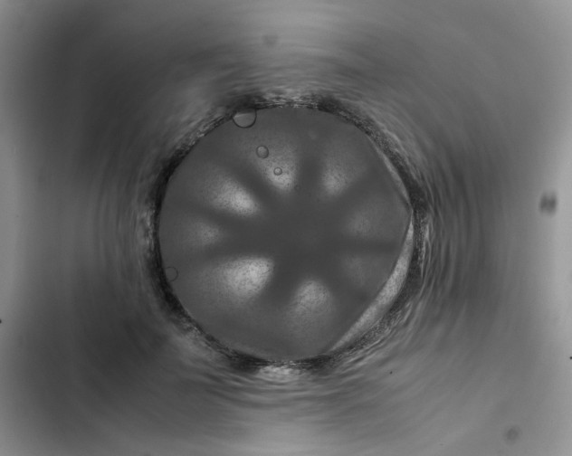 X0000102510699200808221817