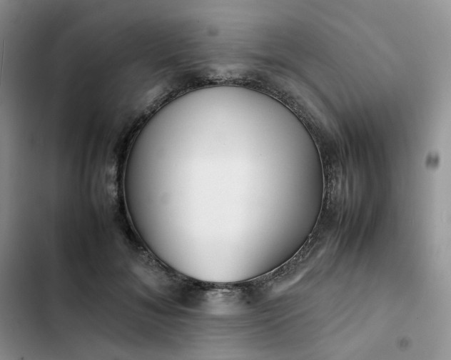 X0000102510700200808221817