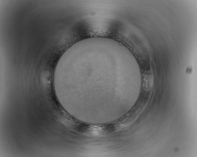 X0000102510701200808221817