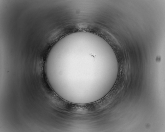 X0000102510702200808221817