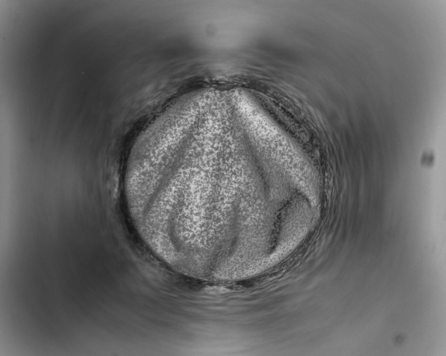 X0000102510703200808221817