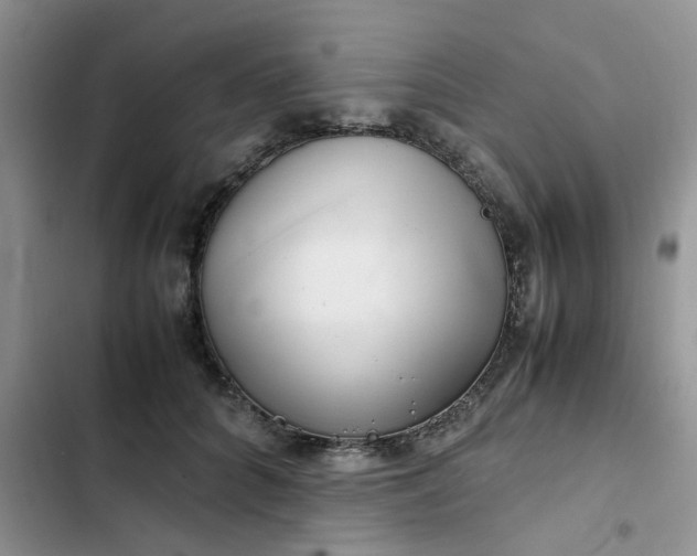 X0000102510704200808221817