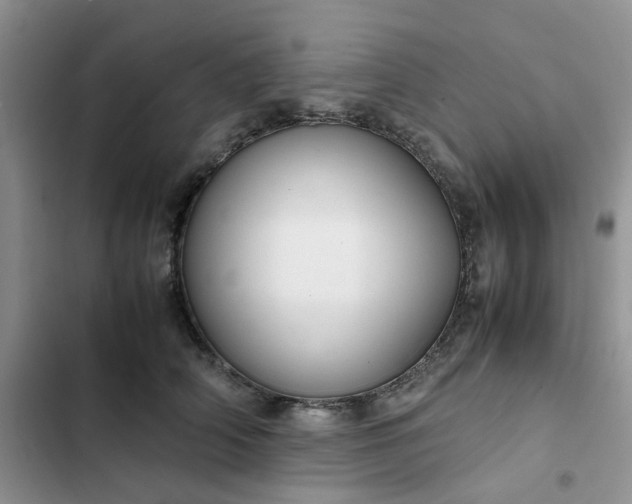 X0000102510706200808221817