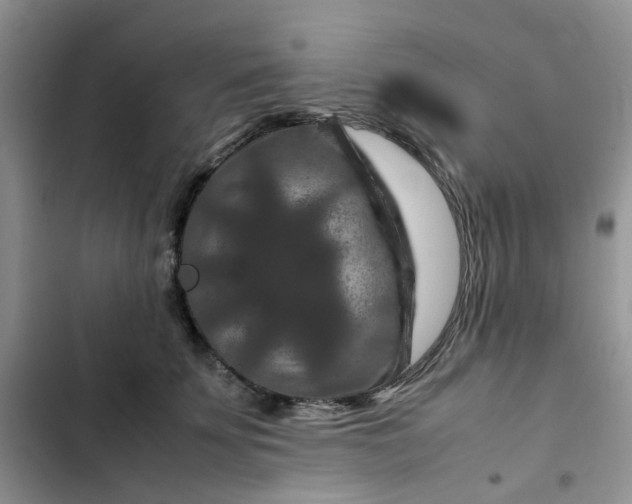 X0000102510707200808221817