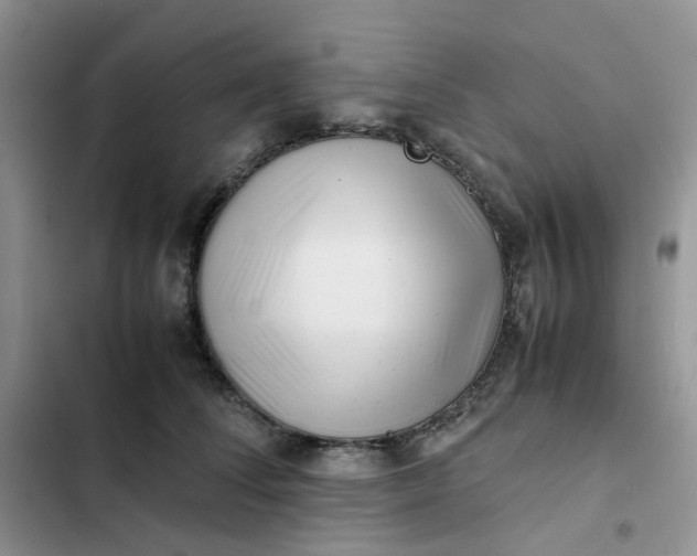 X0000102510708200808221817