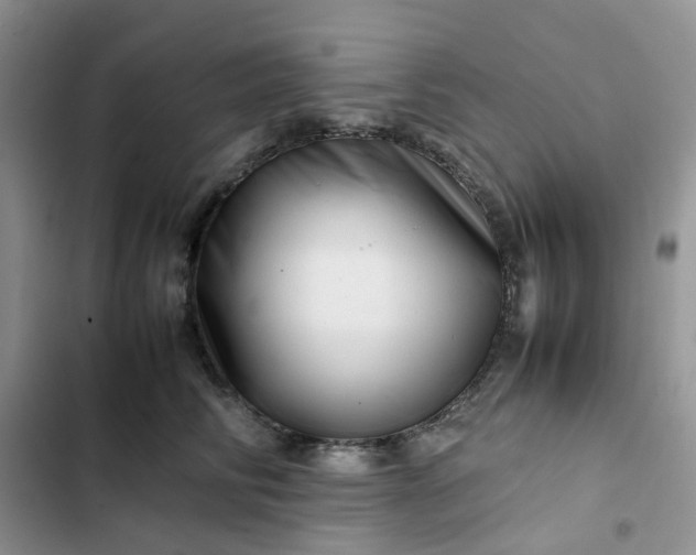 X0000102510710200808221817