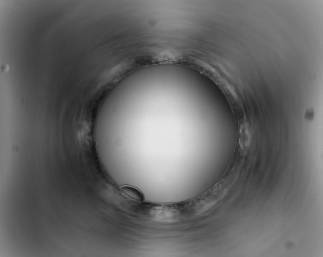 X0000102510714200808221817