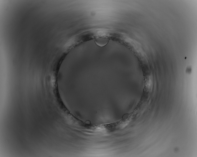 X0000102510715200808221817