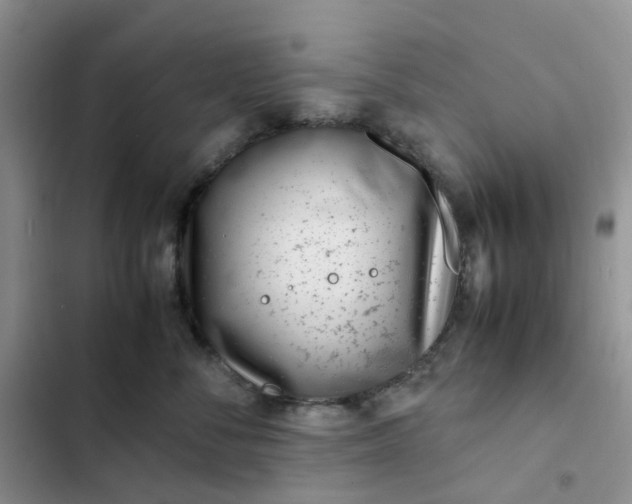 X0000102510716200808221817