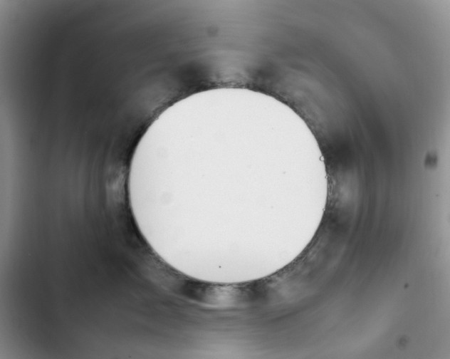 X0000102510717200808221817
