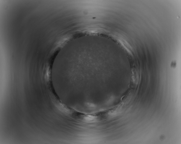 X0000102510718200808221817