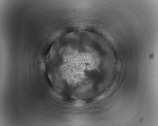 X0000102510719200808221817