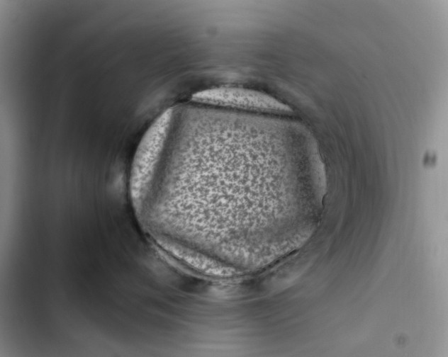 X0000102510720200808221817