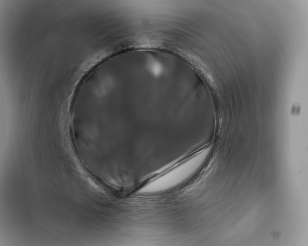 X0000102510721200808221817