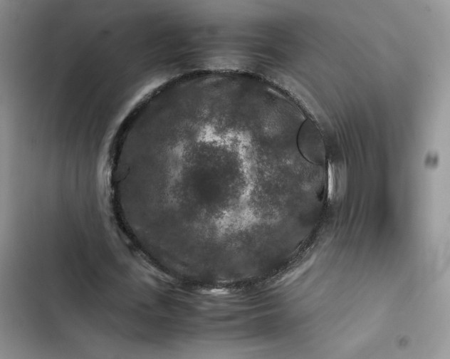 X0000102510723200808221817