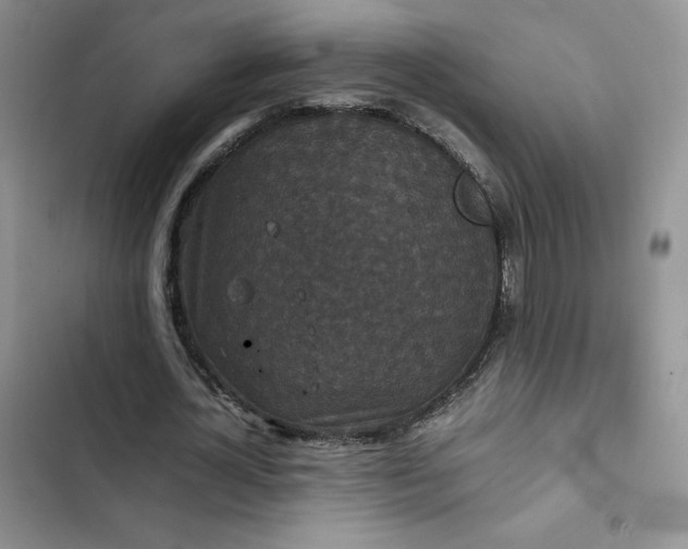 X0000102510724200808221817