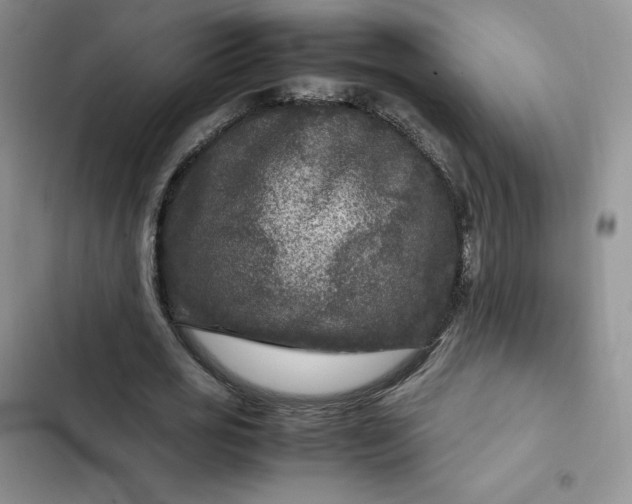 X0000102510725200808221817