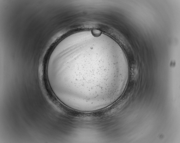 X0000102510726200808221817