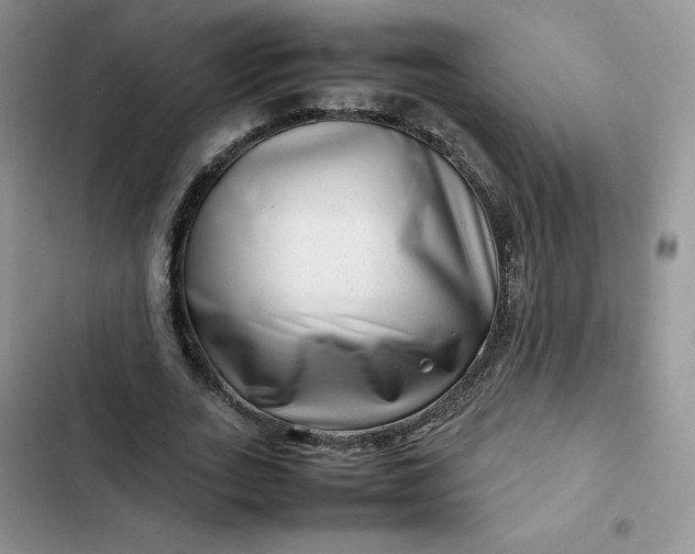 X0000102510727200808221817