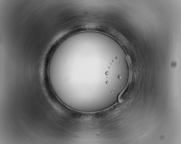 X0000102510728200808221817