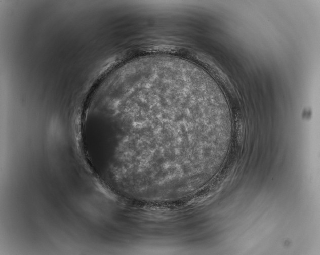 X0000102510729200808221817