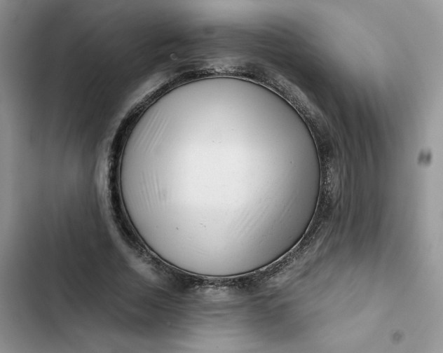 X0000102510730200808221817