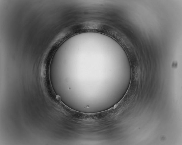 X0000102510731200808221817