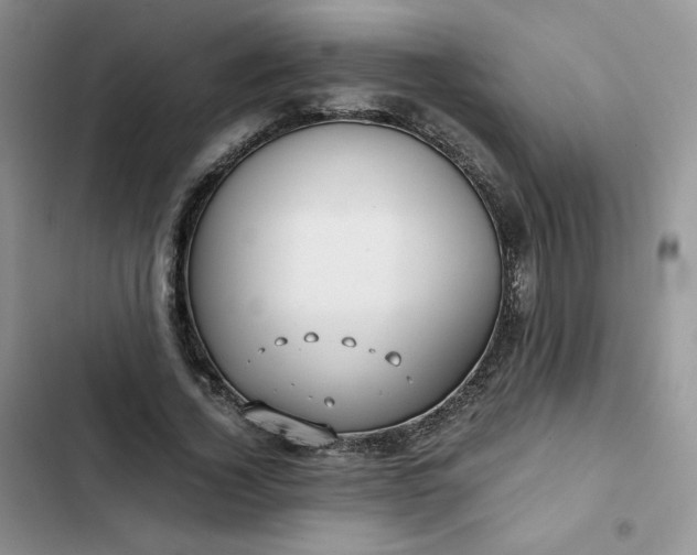 X0000102510732200808221817