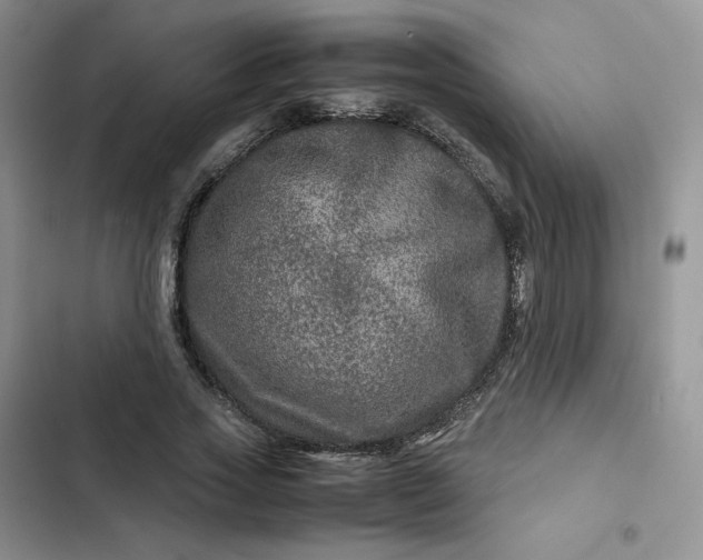 X0000102510733200808221817