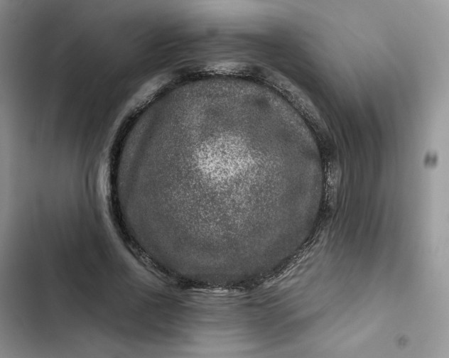X0000102510734200808221817