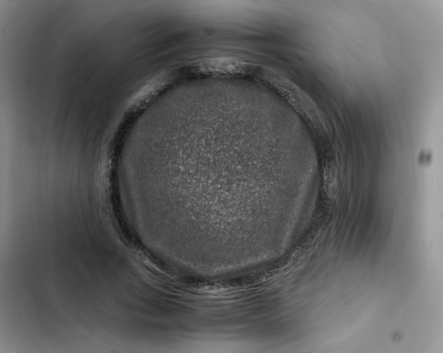 X0000102510735200808221817