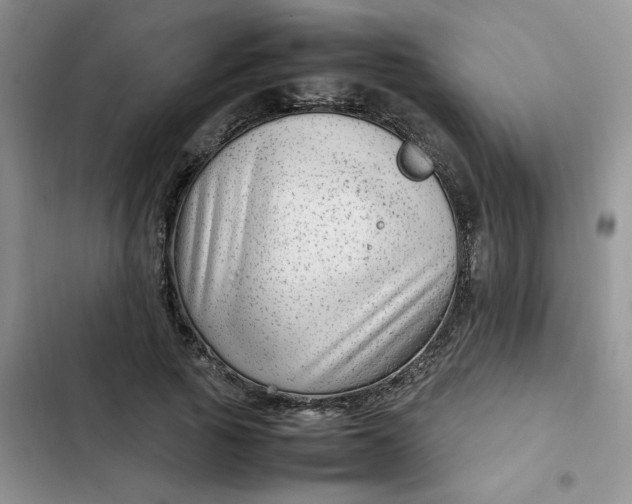X0000102510737200808221817