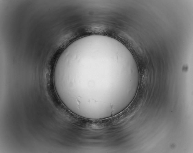 X0000102510739200808221817