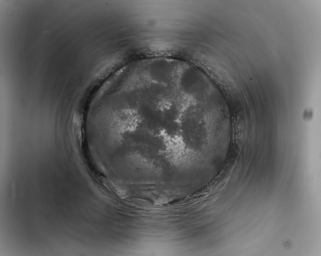 X0000102510742200808221817