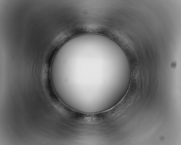 X0000102510744200808221817