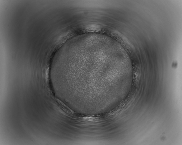X0000102510745200808221817
