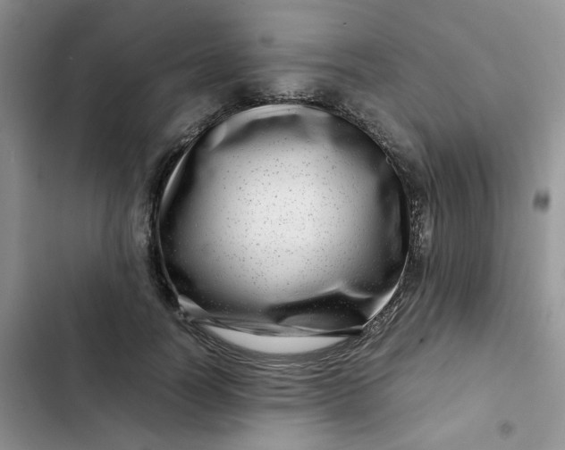 X0000102510746200808221817