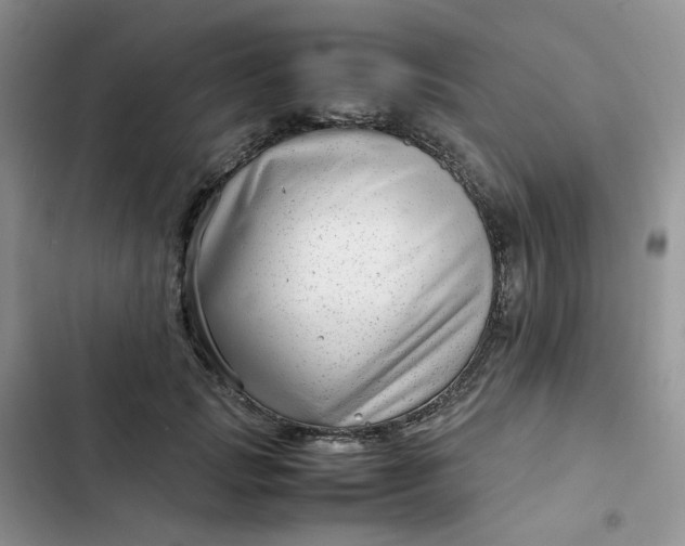 X0000102510749200808221817