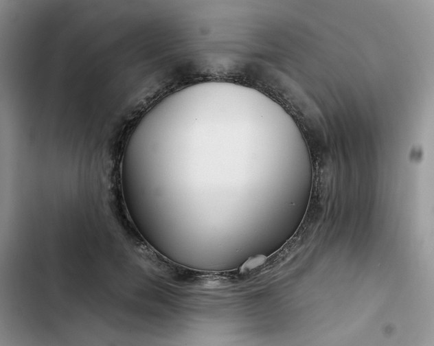 X0000102510750200808221817