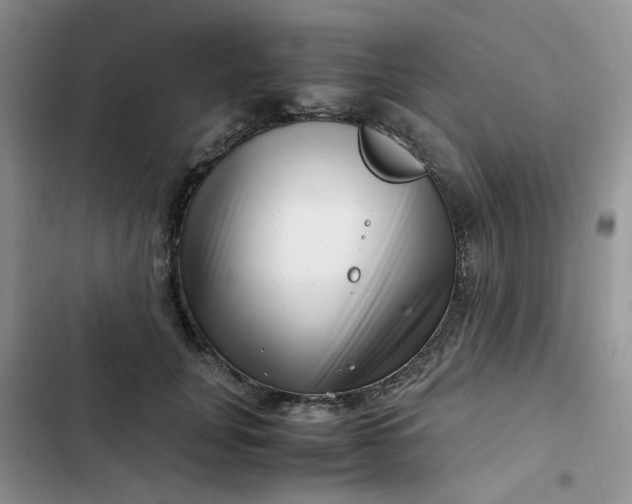 X0000102510751200808221817