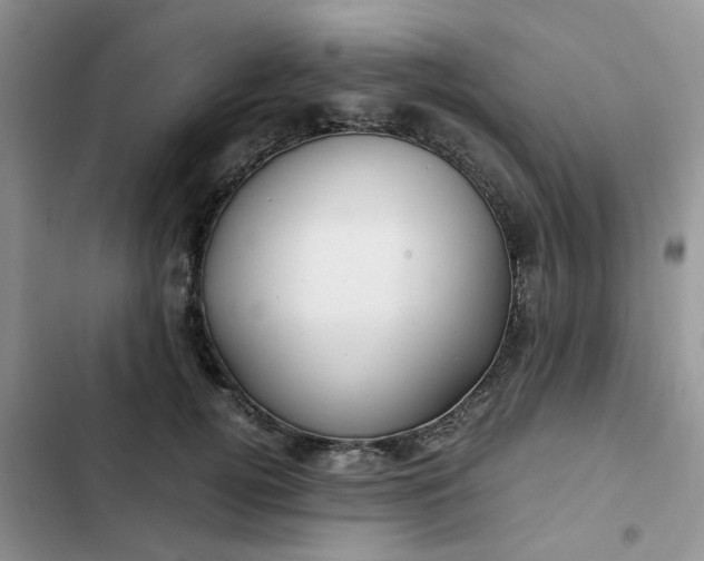 X0000102510752200808221817